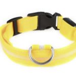 LED Collar 2