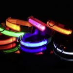 LED Collar 3