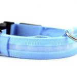 LED Dog Collar 1