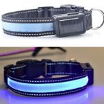 USB Solar Pet Collar