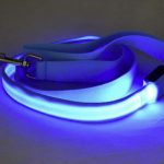 LED Dog Leash 2