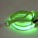 LED Dog Leash 1