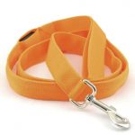 LED Dog Leash 3