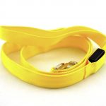 LED Dog Leash 4